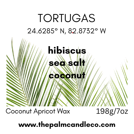 TORTUGAS hibiscus~sea salt~coconut wood