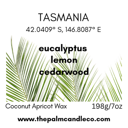 TASMANIA eucalyptus~lemon~cedarwood
